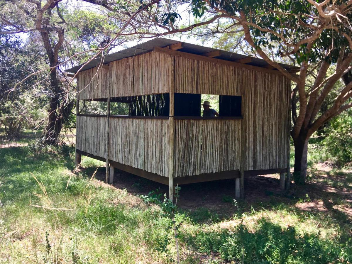 Imani Bush House & Silver Sky Chalet Hluhluwe Luaran gambar