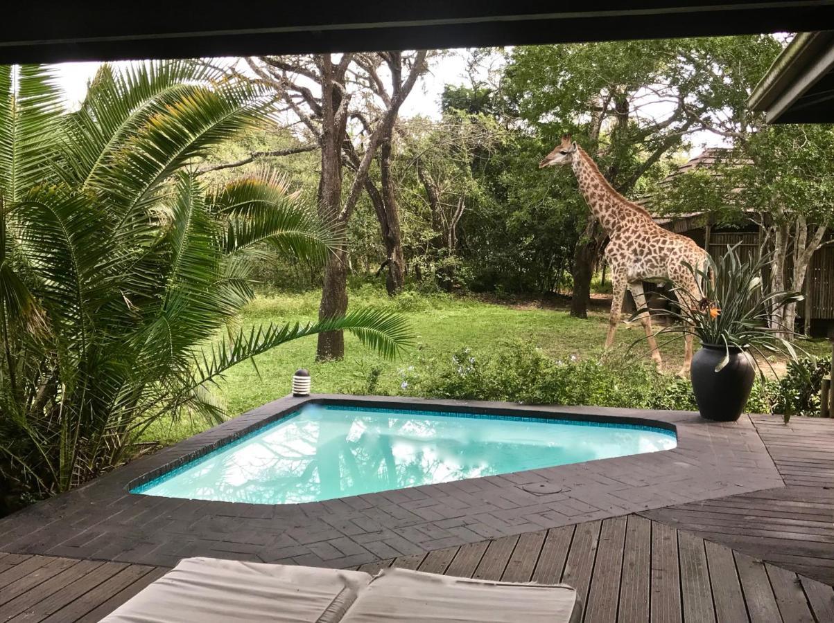 Imani Bush House & Silver Sky Chalet Hluhluwe Luaran gambar
