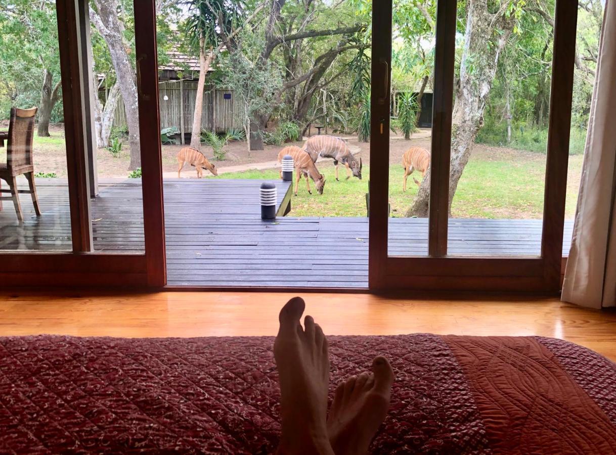 Imani Bush House & Silver Sky Chalet Hluhluwe Luaran gambar
